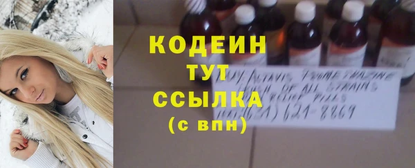 индика Кинешма