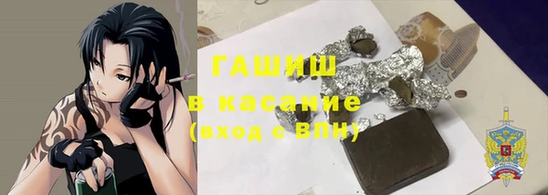 индика Кинешма