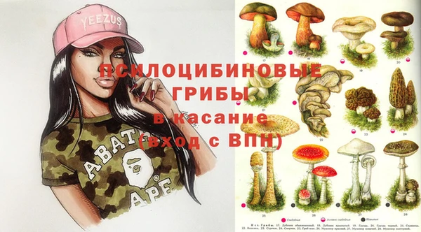 apvp Киреевск
