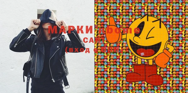 индика Кинешма