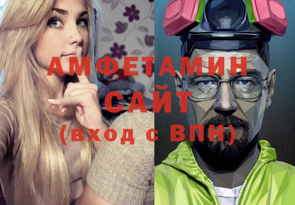 индика Кинешма