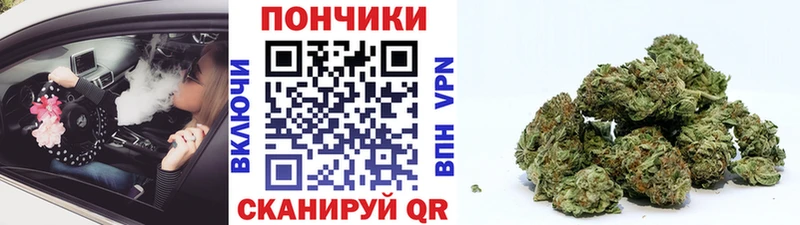 Бошки марихуана сатива наркотики Кировград